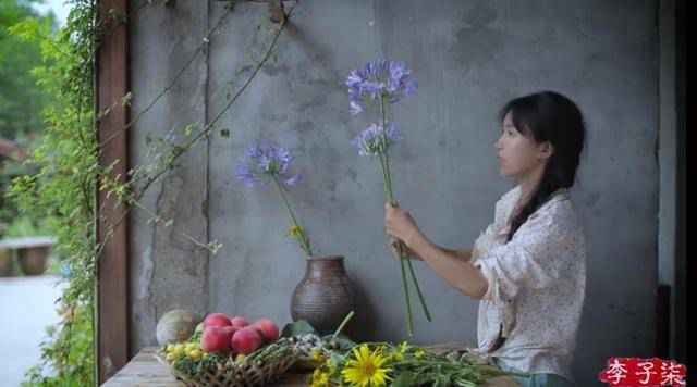 律师称李子柒维权难度较大怎么回事 李子柒维权难度为什么较大