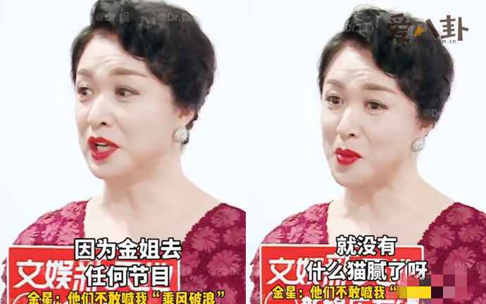 金星揭浪姐有猫腻不敢请她当评委怎么回事 乘风破浪的姐姐有什么内幕