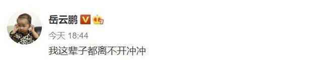 岳云鹏这辈子都离不开冲冲是啥意思？冲冲是谁照片资料介绍