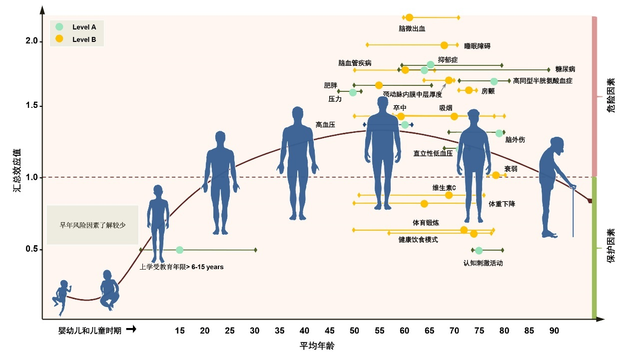 从影响因素到早期诊断如何预防阿尔茨海默病？答案在这里！