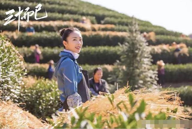 三十而已全集资源免费看地址 三十而已1-43集完整版超清免费在线看