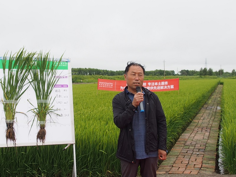 科技赋能大国粮仓 水稻测深施肥技术“深耕”绿色米都建三江