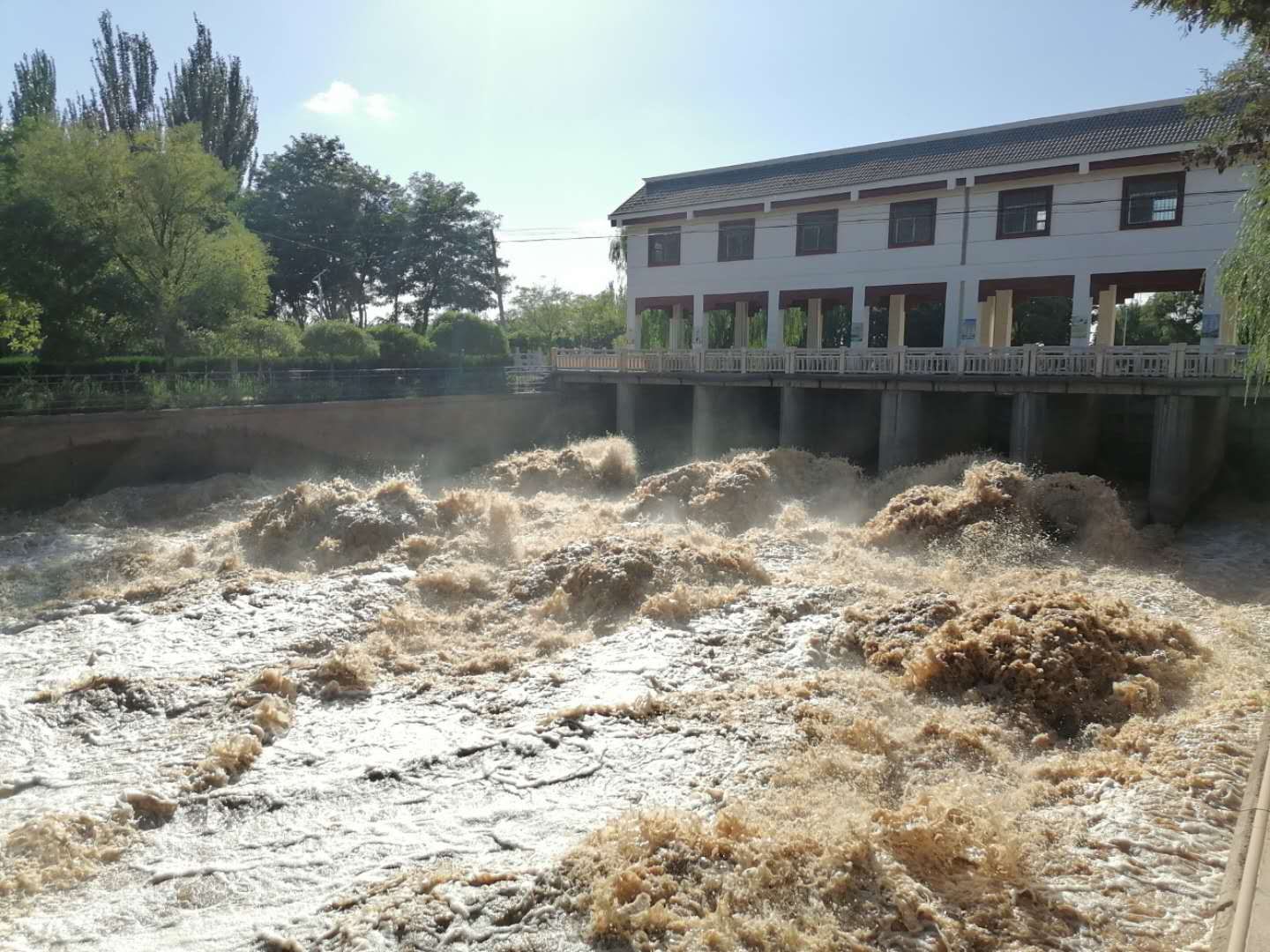 黄河岸边的“时间印记”