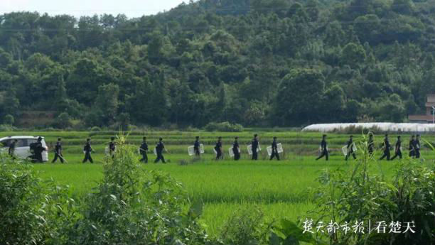 警方扒掉曾春亮裤子原因曝光 曾春亮落网细节图片