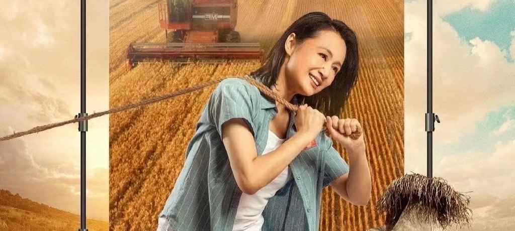 曹颖郭达《毛驴上树2》上映,爆笑似春晚小品,斯坦森桥段成笑点