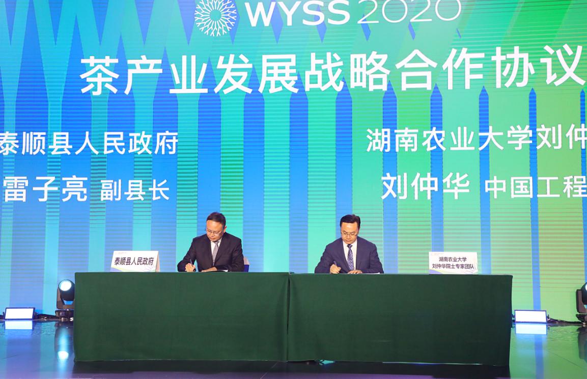 2020年世界青年科学家峰会泰顺分会召开