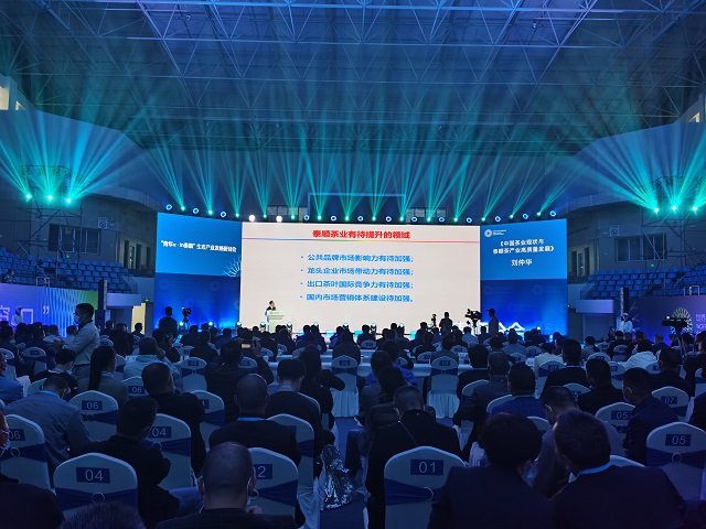 2020年世界青年科学家峰会泰顺分会召开