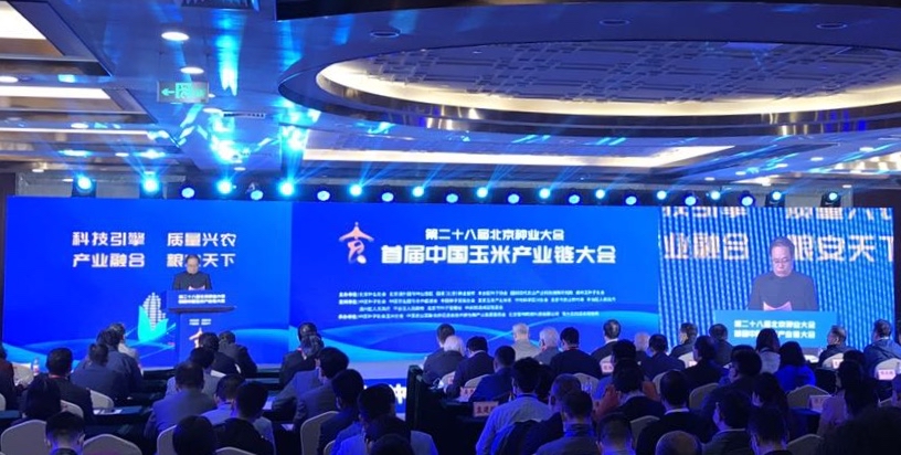 小个头大能量！玉米种子产业“强筋健骨”扛起万亿级产业