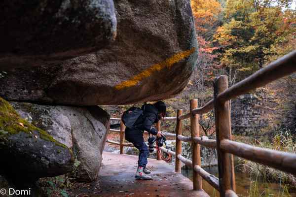 摄影旅行的好去处,洛阳白云山下,此刻秋意正浓