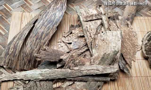 海南沉香圣地,遍地quot;趴着quot;狮子状的船屋!网友:不敢住
