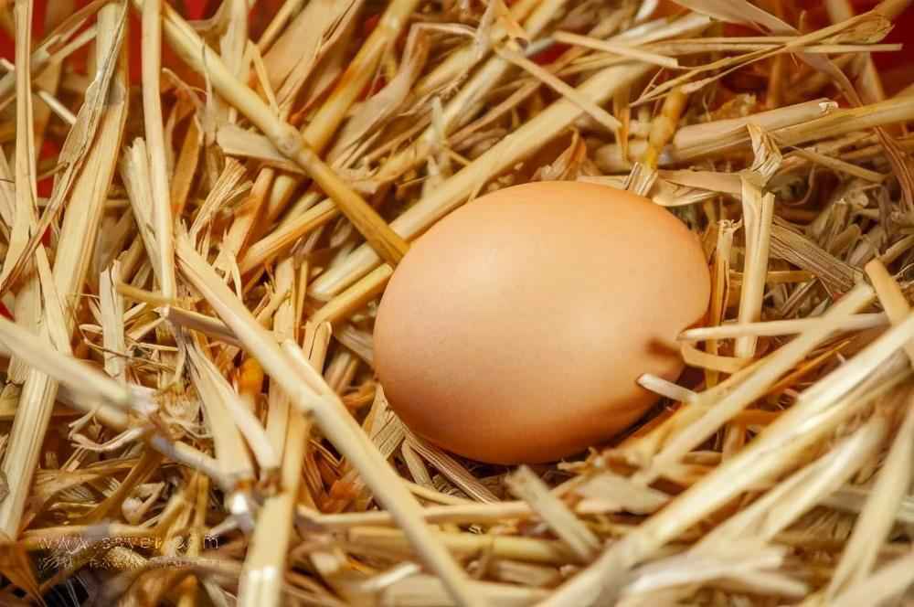 宝宝多大才可以吃蛋黄？答案可能和你想的不一样