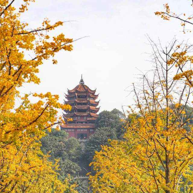 一天来回打卡“吴哥窟”,成都隔壁这个小众赏秋地庆幸还没火
