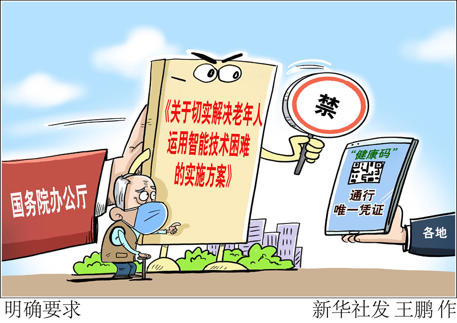 如何让逾2.5亿老年人共享智慧社会便利？