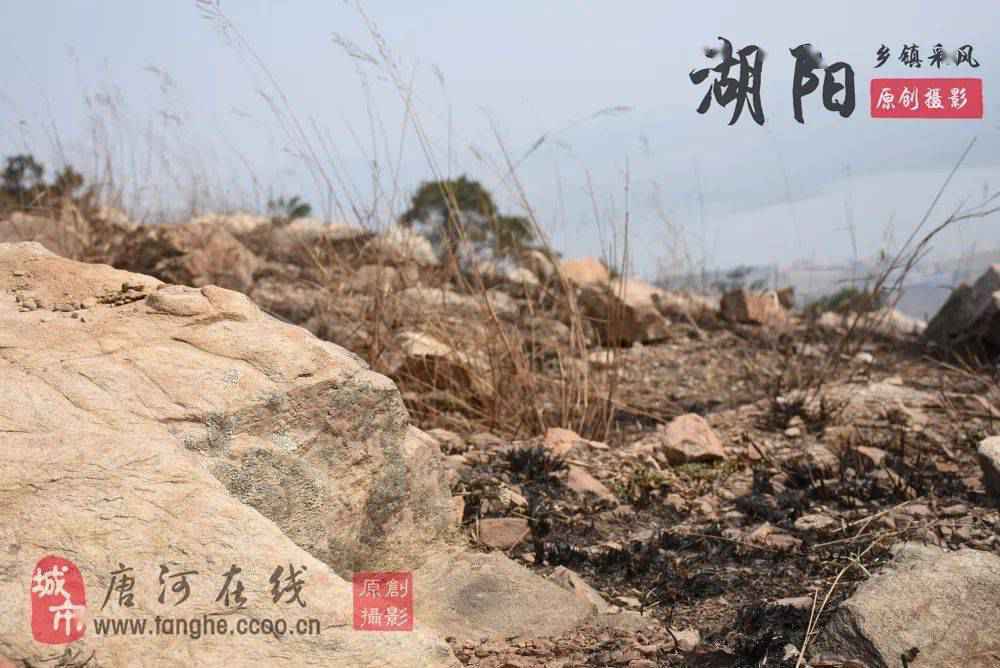 这个藏在唐河最南端的绝美小镇,带你一秒穿越千年!