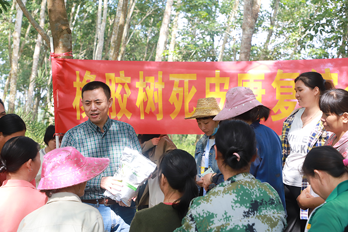 这项国际领先水平技术可让橡胶树死皮恢复活力