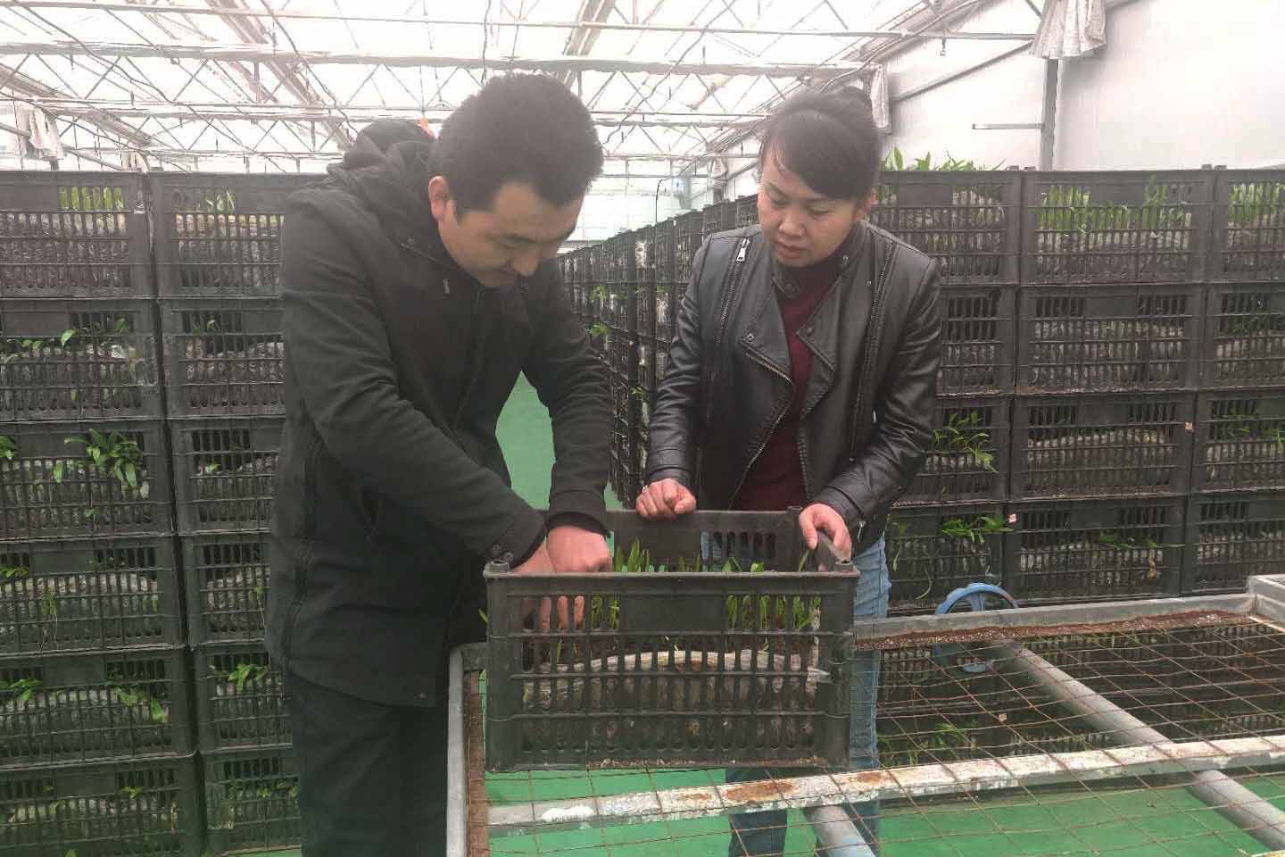 他们，让科技温暖陇原