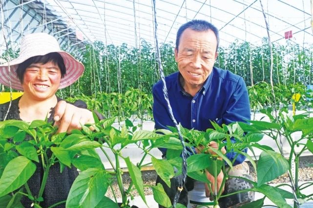 甘肃酒泉：移民村“嬗变”幸福村