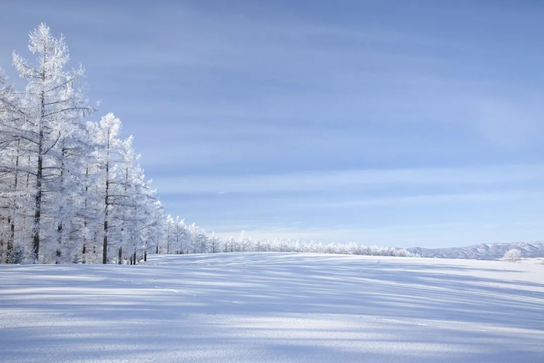 今日大雪丨今日0时9分迎来大雪节气 仲冬时节正式开始