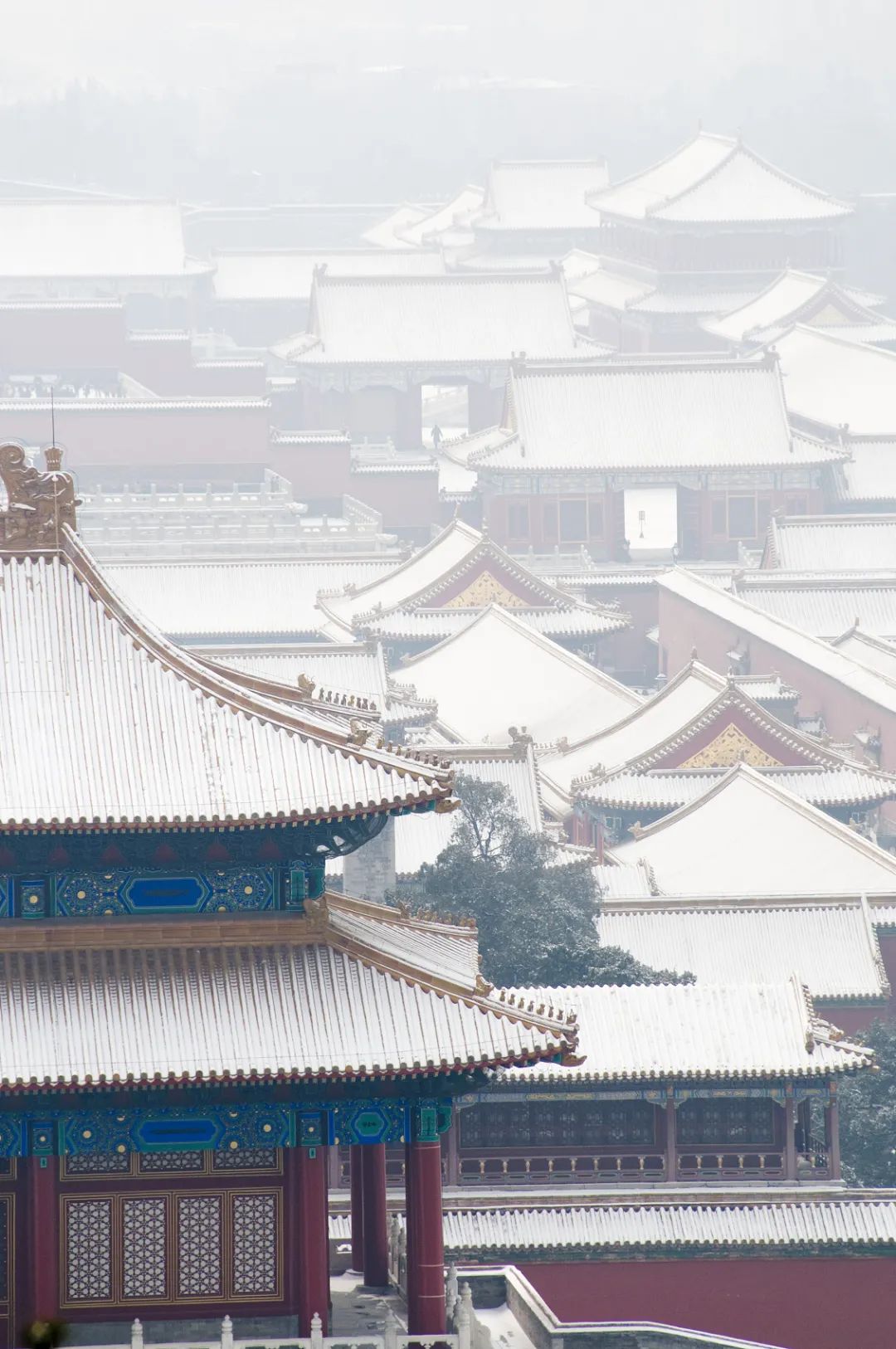 今日大雪丨今日0时9分迎来大雪节气 仲冬时节正式开始