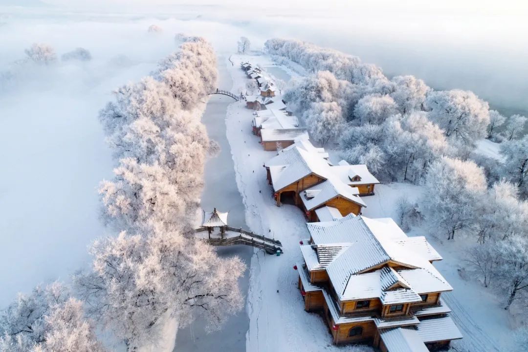 今日大雪丨今日0时9分迎来大雪节气 仲冬时节正式开始