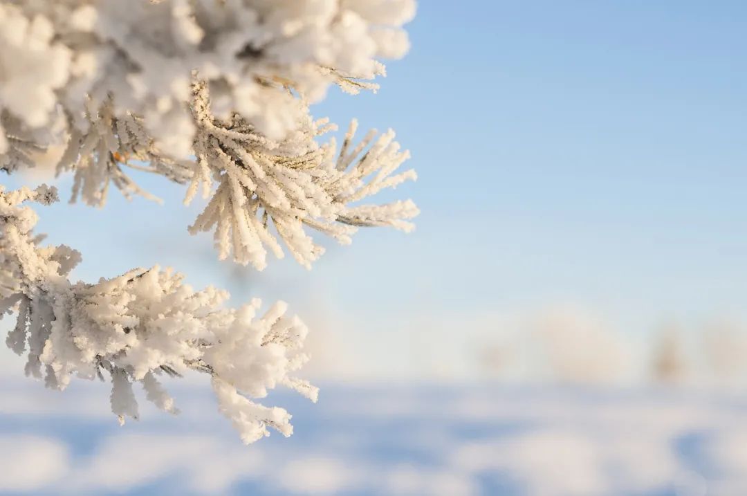 今日大雪丨今日0时9分迎来大雪节气 仲冬时节正式开始