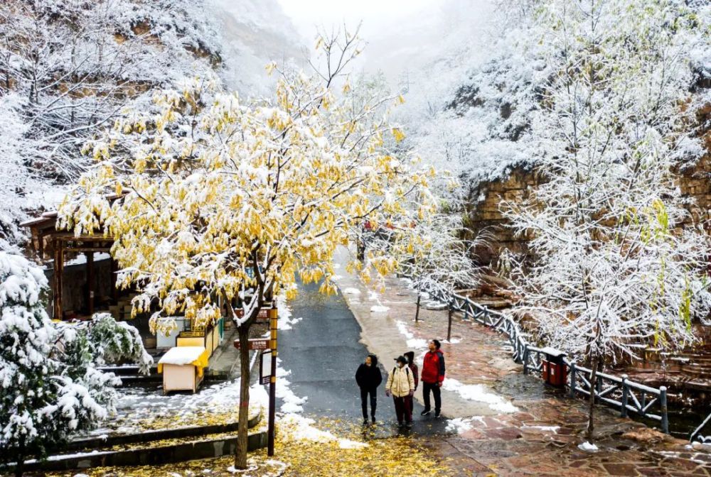 今日大雪，白首与君归