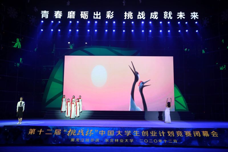 近18万个项目角逐第十二届“挑战杯”中国大学生创业计划竞赛