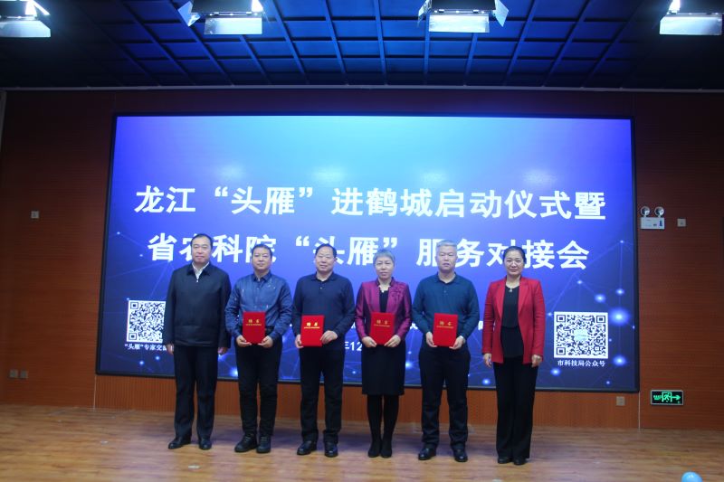 齐齐哈尔：诚意“筑巢”吸引“头雁”飞来鹤城
