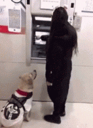 正惊GIF:这条街上最靓的仔!当男人骚起来时,就没女人什么事了!