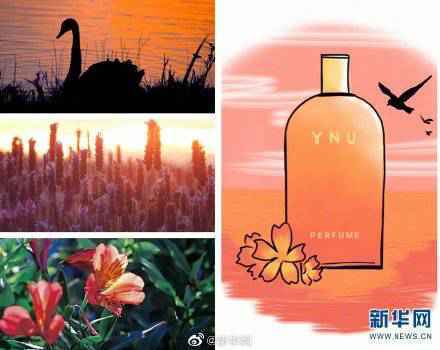 以校园美景为“香料” 云大学子“调”出限量版“香水”