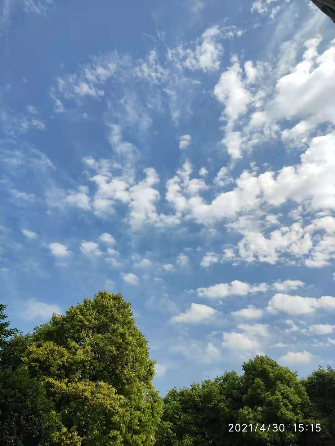 湖北两地何以领跑35℃以上高温?