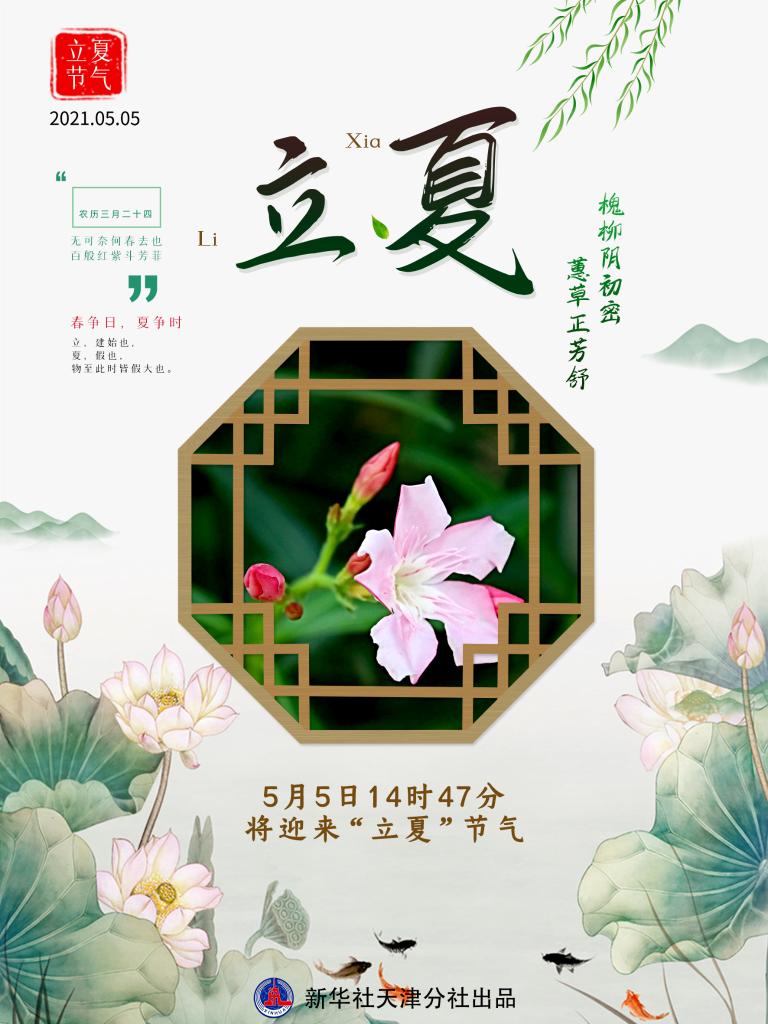 槐柳阴初密 蕙草正芳舒：夏天，你好！