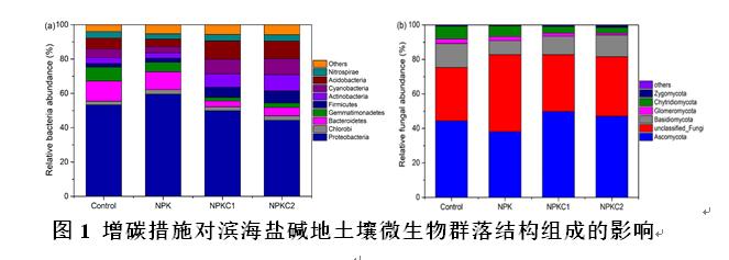 青岛农大丁效东教授课题组提升黄三角盐碱地土壤改良及地力取得新进展
