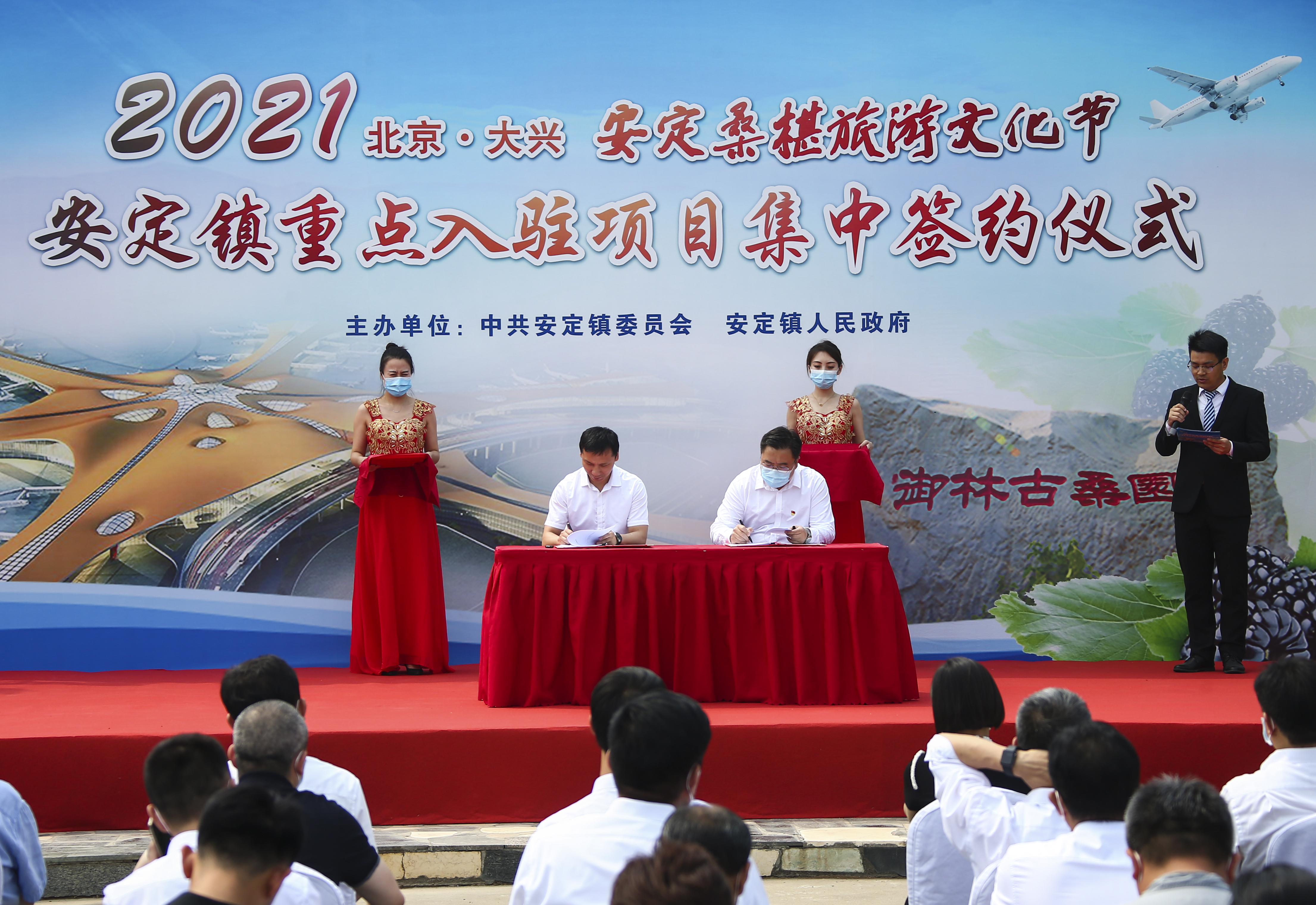 北京大兴安定桑椹旅游文化节开启5·20“甜蜜之旅”