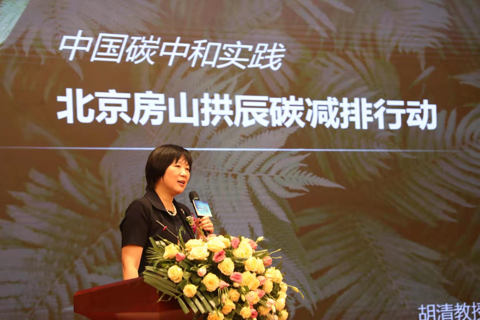 北京房山拱辰街道碳减排行动计划启动