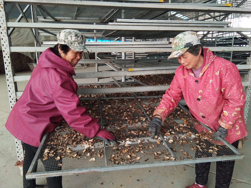  中药材基地助推乡村振兴