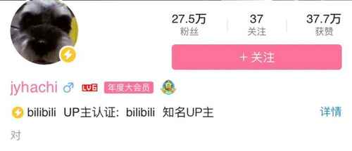 春节宅在家还能做什么?看这个比刷抖音还上头