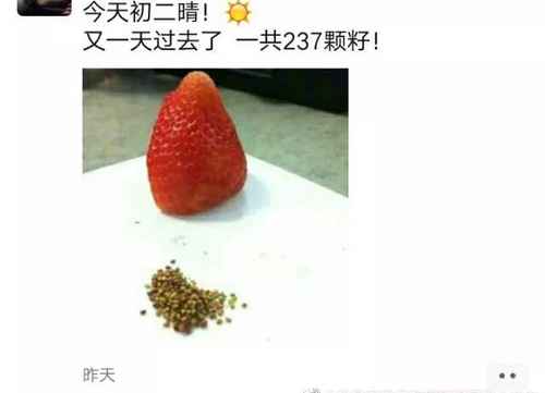 宅在家的上头方式!0元换来快乐与健康