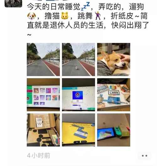 宅在家的上头方式!0元换来快乐与健康