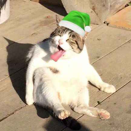 微信圣诞帽 朋友圈今年的圣诞帽你有吗