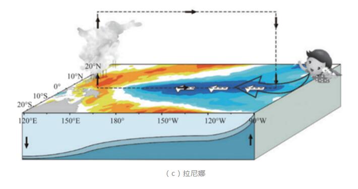 今年冬天会有极端寒潮吗？2023-2024冬天冷不冷最新预测