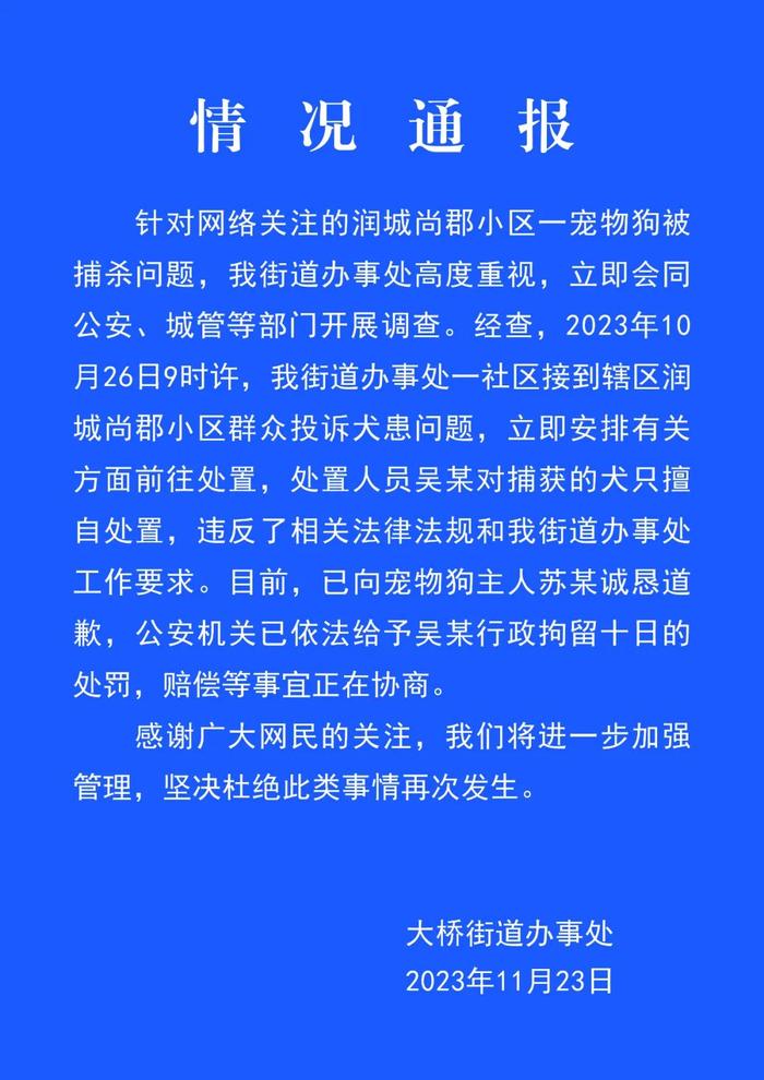 宠物犬被抓走宰杀 处置人员被行拘 事件始末最新消息